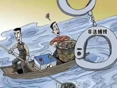 以案释法丨非法捕捞不可为，莫让“渔网”碰“法网”